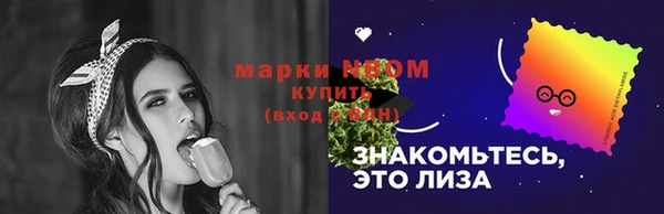 мдпв Новодвинск