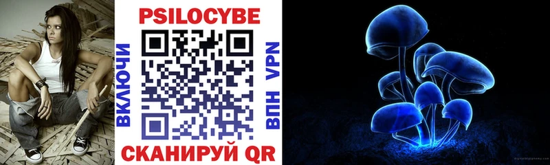 Галлюциногенные грибы Psilocybine cubensis  ОМГ ОМГ ССЫЛКА  Курильск 