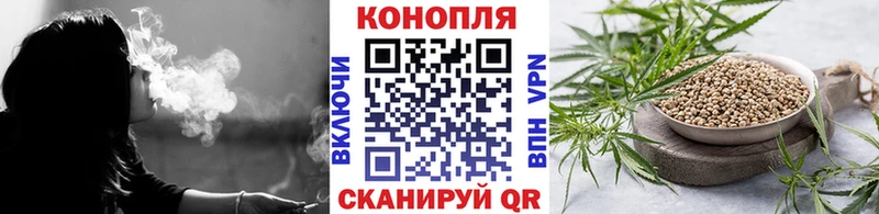Канабис план  где можно купить   Курильск 